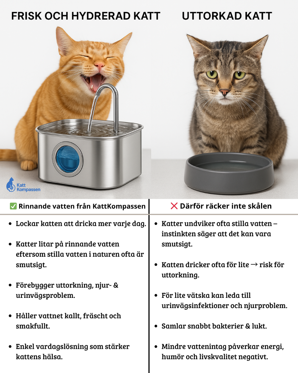 Hälsofontänen för Katter™