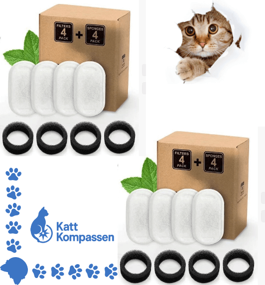 Filter 8-pack till Vattenfontänen™