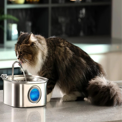Hälsofontänen för Katter™